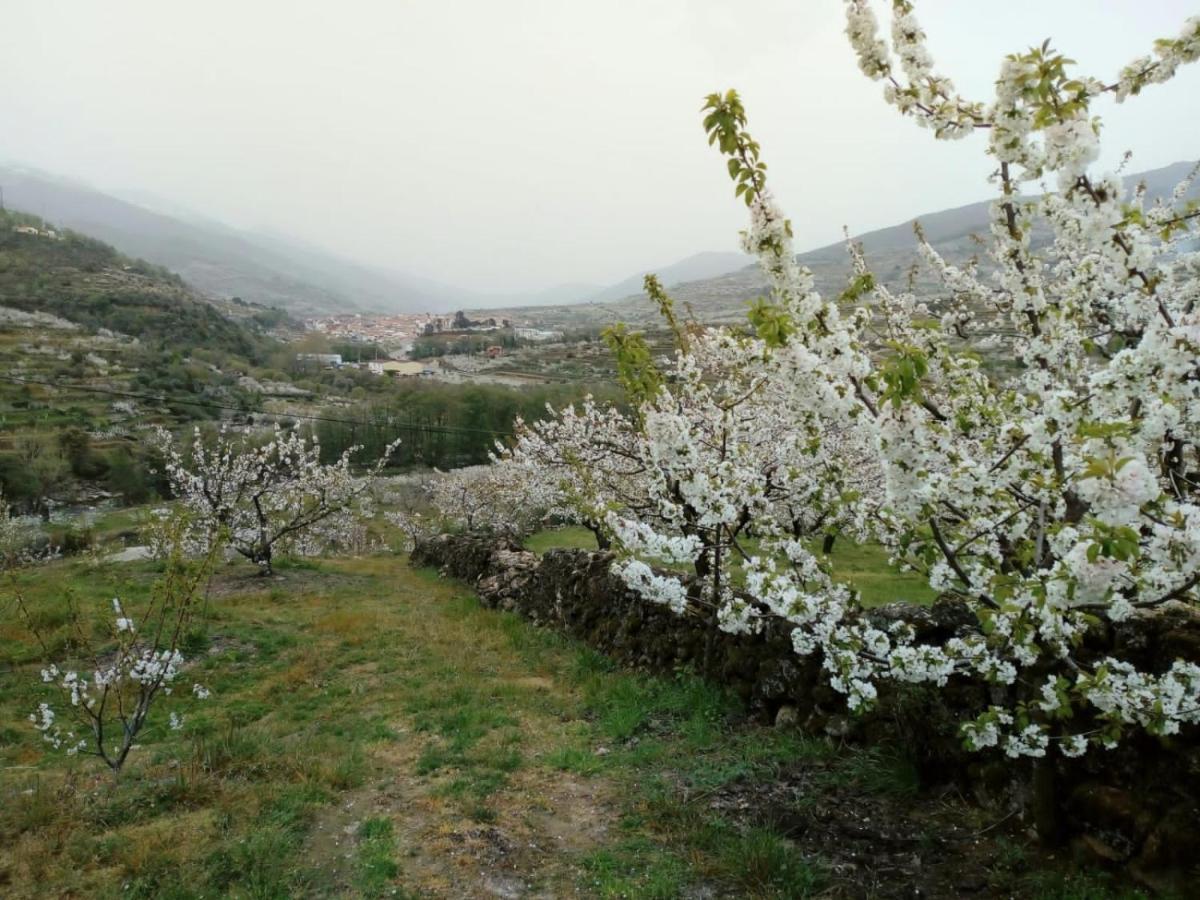Casas Rurales El Cerro Y El Cerezo Navaconcejo Esterno foto
