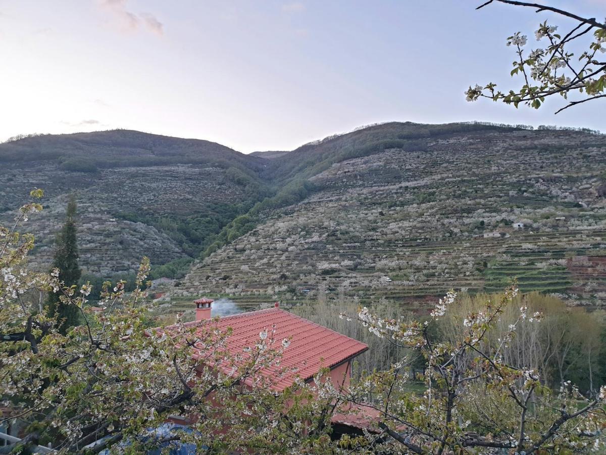 Casas Rurales El Cerro Y El Cerezo Navaconcejo Esterno foto